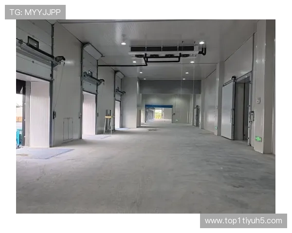 澳门贵宾厅线路检测的重要性与常见问题解析